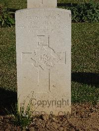 Salonika (Lembet Road) Military Cemetery - Melia, John